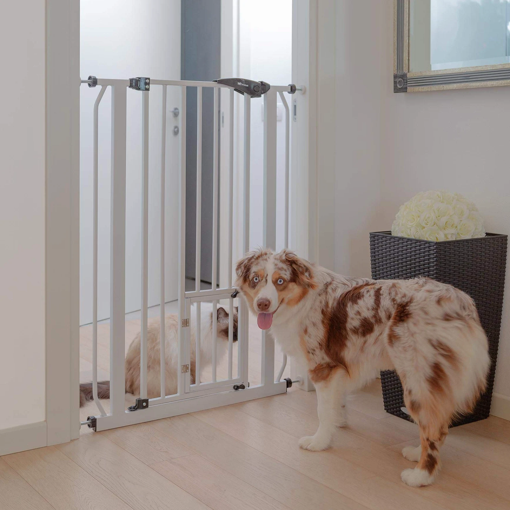 Ferplast Cancello cancelletto divisorio per cani e gatti PET GATE Rete da interno, Robusto metallo verniciato Bianco e plastica, Chiusura di sicurezza, Apertura su entrambi i lati, 73 x h 105 cm