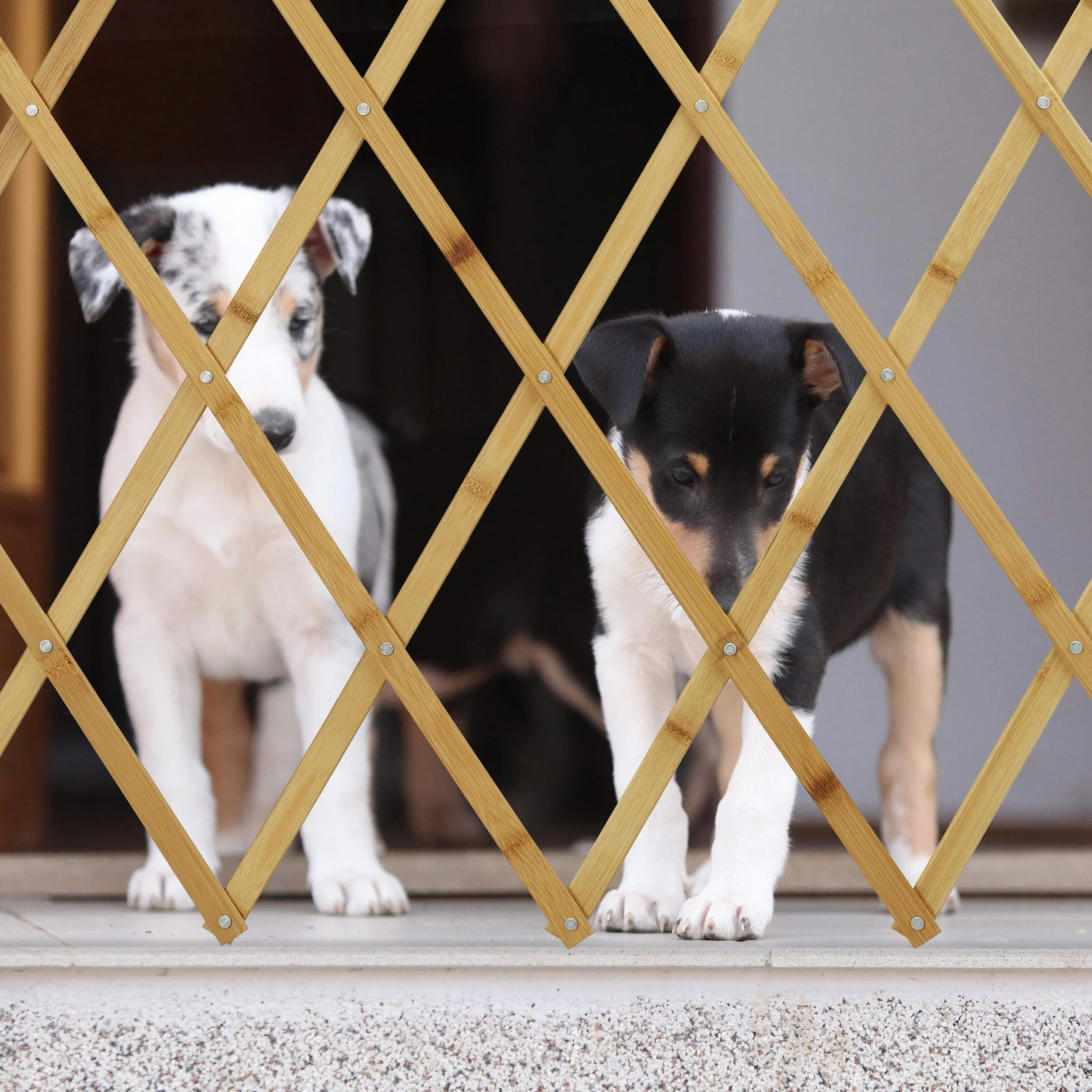 Relaxdays Barriera per cani, cancelletto di sicurezza per porte e scale, griglia a forbice estensibile fino a 116,5 cm, altezza 82,5 cm, naturale, L